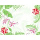 100 Dunicel Tropical Lily Tischsets, 30x40cm