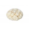 310gr. di conchiglie decorative.