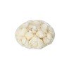 310gr. di conchiglie decorative.