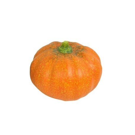 Zucca 14x14x12 cm ceramica verde scuro/arancione
