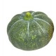 Zucca 14x14x12 cm ceramica verde scuro/arancione