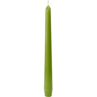 1 Kerze, 250 x 22 mm, leaf green, Dauer 7 Stunden