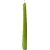 1 Candela, 250 x 22 mm herbal green, durata 7 ore