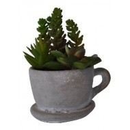 1 Cactus dans une tasse en béton, 14x11x16cm
