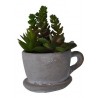 1 Cactus in una tazza di cemento, 14x11x16 cm