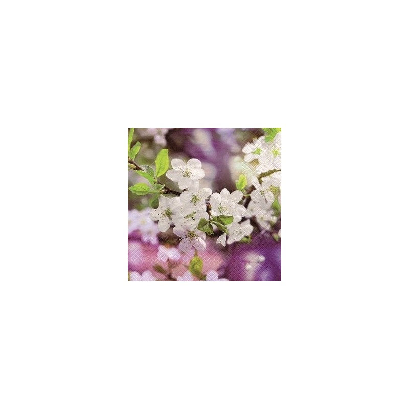 20 Serviettes papier 24x24cm Fleurs de cerisiers