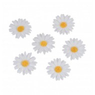 6 weiße Gänseblümchen zum Streuen Ø 4,5cm