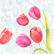 50 Serviettes classic, Painted Tulips, 4plis, 40x40cm