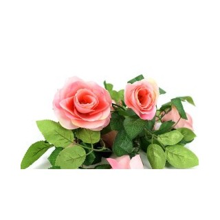 ROSA Girlande