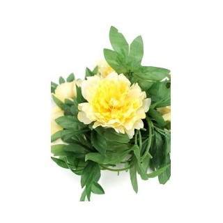 Guirlande,  PIVOINE