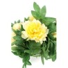 Guirlande,  PIVOINE