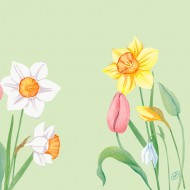 50 Serviettes Duni classic 40 x 40 cm Spring Melody
