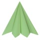 20 Serviettes rainbow, 40x40cm, mint