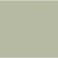 60 Dunisoft® Bio-Servietten 40 x 40 cm Pistaziengrün