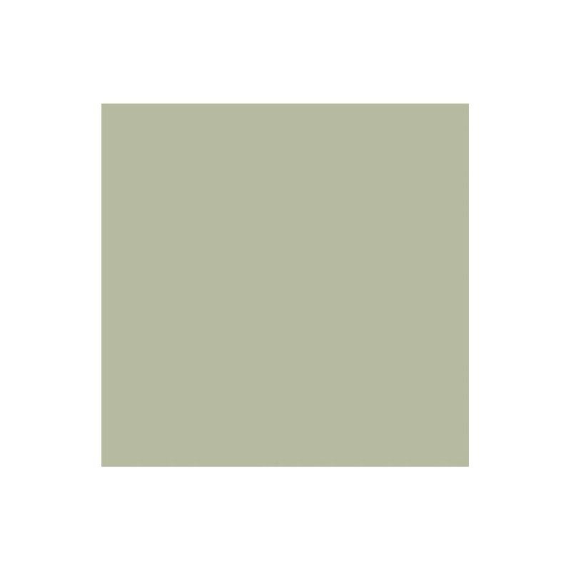 60 Serviettes Bio Dunisoft® 40 x 40 cm Vert pistache