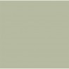 60 tovaglioli Dunisoft® Organic 40 x 40 cm Verde Pistacchio