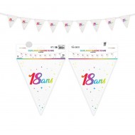 Guirlande fanion 18ans, multicolore, 6m.