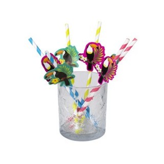 Set 6 Pailles en papier Toucan, 20cm