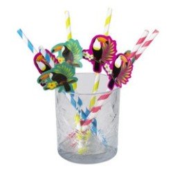 Set 6 Pailles en papier Toucan, 20cm