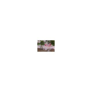 Ruban tulle blanc 100mmx20m
