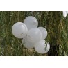 6 Ballons communion fond blanc imprimé doré 