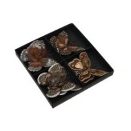 Clip Schmetterling Set/8 8cm braun Federn