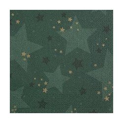 20 serviettes 33x33cm étoile vert 