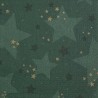 20 tovaglioli 33x33cm stella verde