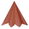Serviettes-nappes-chemins de table-sets de table