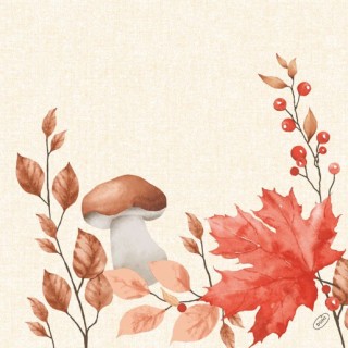 🍄🍂 Serviettes automnales 40 × 40 cm 🍁🌿