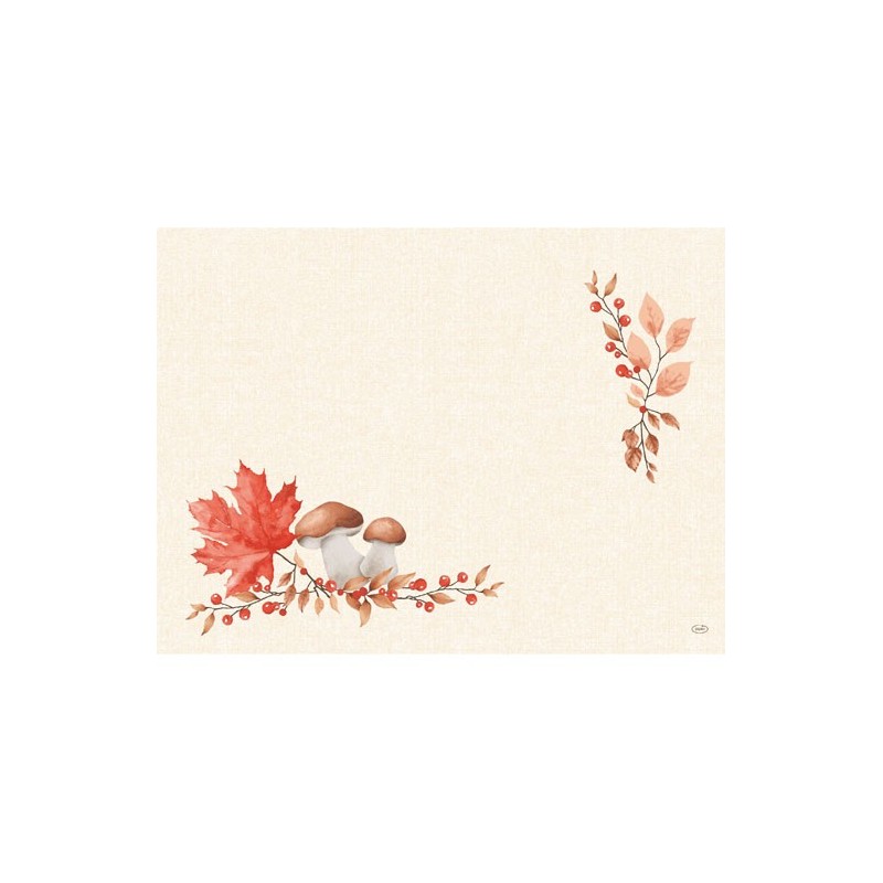 🍄🍂 Jolis sets de table décorés de champignons et feuilles d’automne 🍁🌿 Parfaits pour une table chaleureuse et cosy 🤎✨
