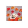 Sachet de 12 feuilles erable 14x10cm