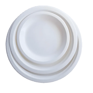 assiettes biodégradables en canne à sucre