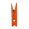  Mini pinzette in legno, 2,5 cm, busta da 24 pezzi, arancione