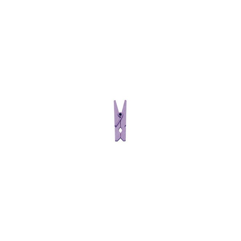 Mini pince en bois, 2,5 cm,sachet de 24 pièces, parme