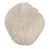 Petali, 100 pezzi, tortora
