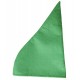 Chapeau de nain, vert, environ 20 cm de diam.