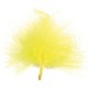 Sachet de 20 plumes jaune