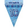 Banner gagliardetto blu, 34 cm, lunghezza 3,6m, 70 ans