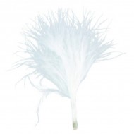 Sachet de 20 plumes, blanc, 7 cm