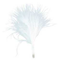 Sacco di 20 piume, bianco