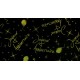 Joyeux Anniversaire glitzernde Tischdecke, Organdi, 145 x 250 cm, Kiwi