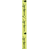 Nastro "Joyeux Anniversaire", kiwi, 10 mm x 5 metri