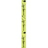 Nastro "Joyeux Anniversaire", kiwi, 10 mm x 5 metri