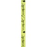 Ruban "Joyeux anniversaire", kiwi, 10 mm x 5 mètres