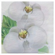 20 Servietten 33x33, 3 lagig, weiss mit motiv orchidee