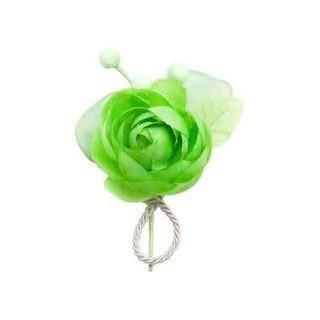 1 Blüte mit 3 Knöpfen, Anis