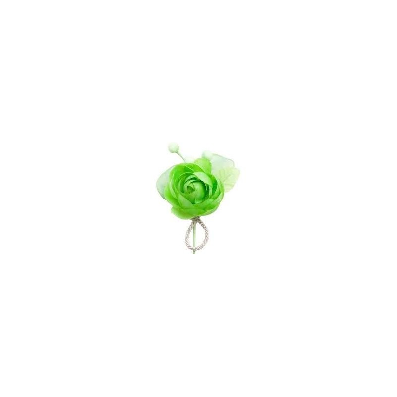 1 tête de fleur avec 3 boutons, anis
