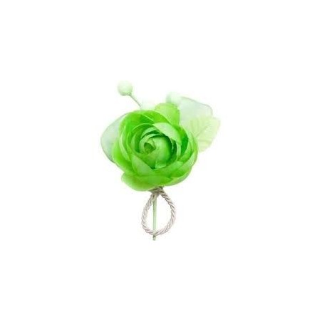 1 Blüte mit 3 Knöpfen, Anis