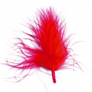 Sachet de 20 plumes, rouge, 7 cm